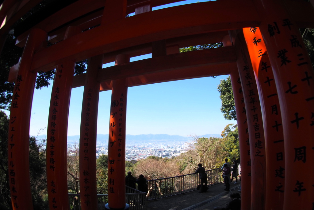 フィッシュアイ 鳥居くぐれば 展望所