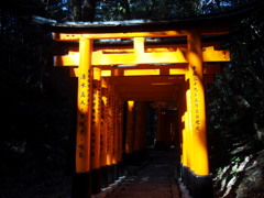 木漏れ陽に 映えし鳥居や 目にまぶし