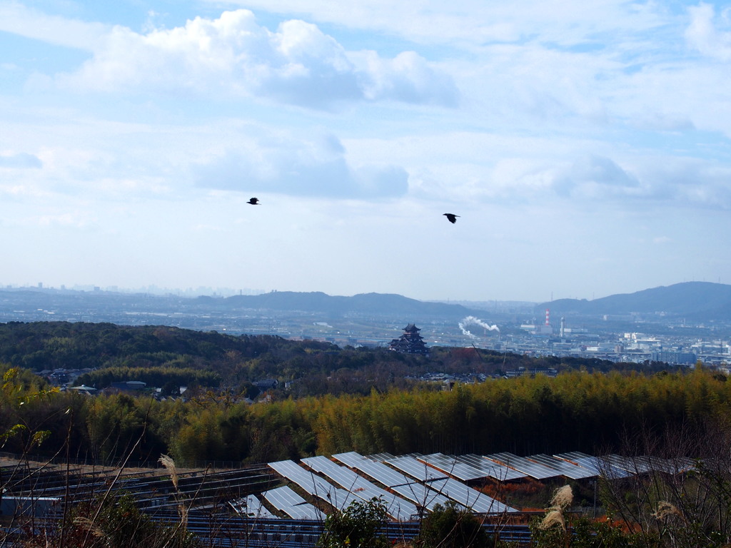 冬眺望 お城・北風 烏二羽
