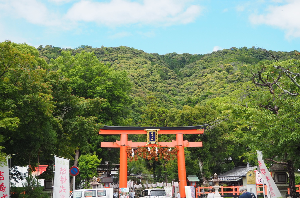 松尾山 緑の麓 大社あり