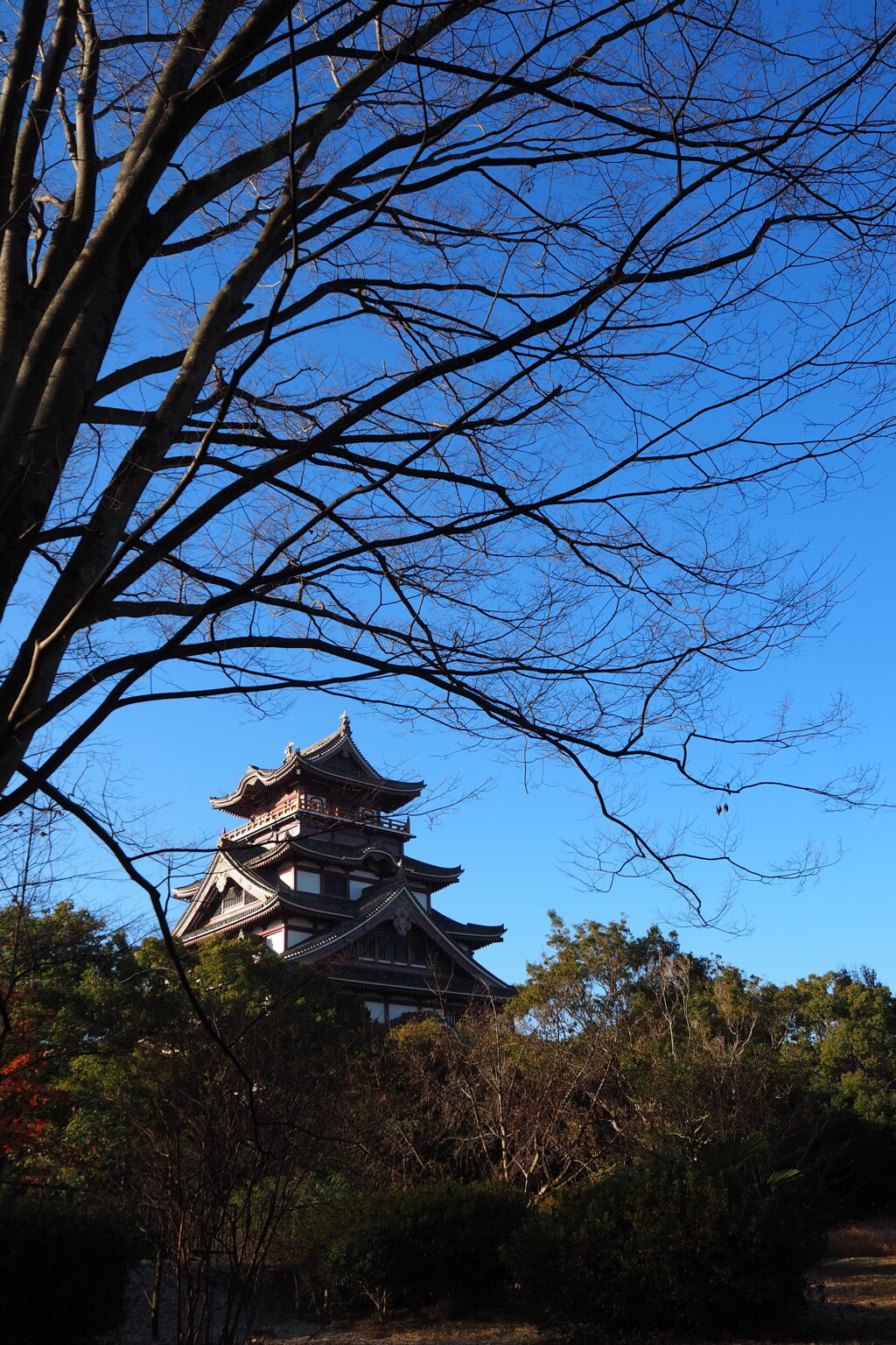 冬晴れの伏見城 凛の佇まい