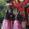 神の使者 夏の名残の 朝風景