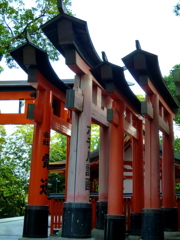 胸を張り 鳥居横顔 男前