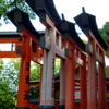 胸を張り 鳥居横顔 男前