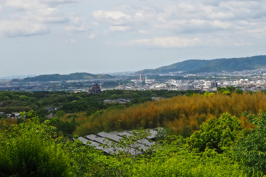 緑あり 桃山丘陵 立夏候