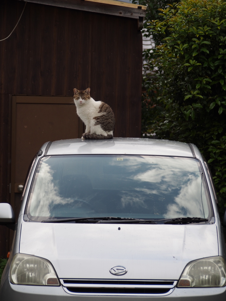 車番 近づきし者 睨みおり