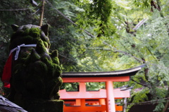 苔むして 狛犬見守る 鳥居道