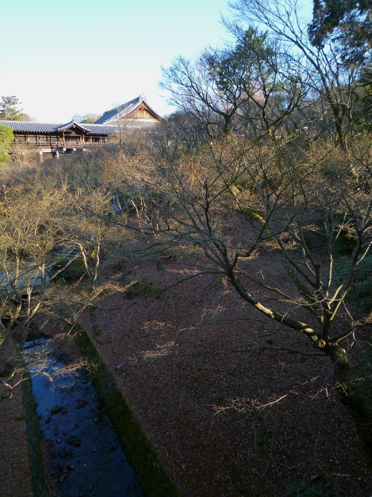 夕陽射す 冬たたずまい 東福寺