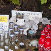 冷えてます カエルもカメも 飲み物も