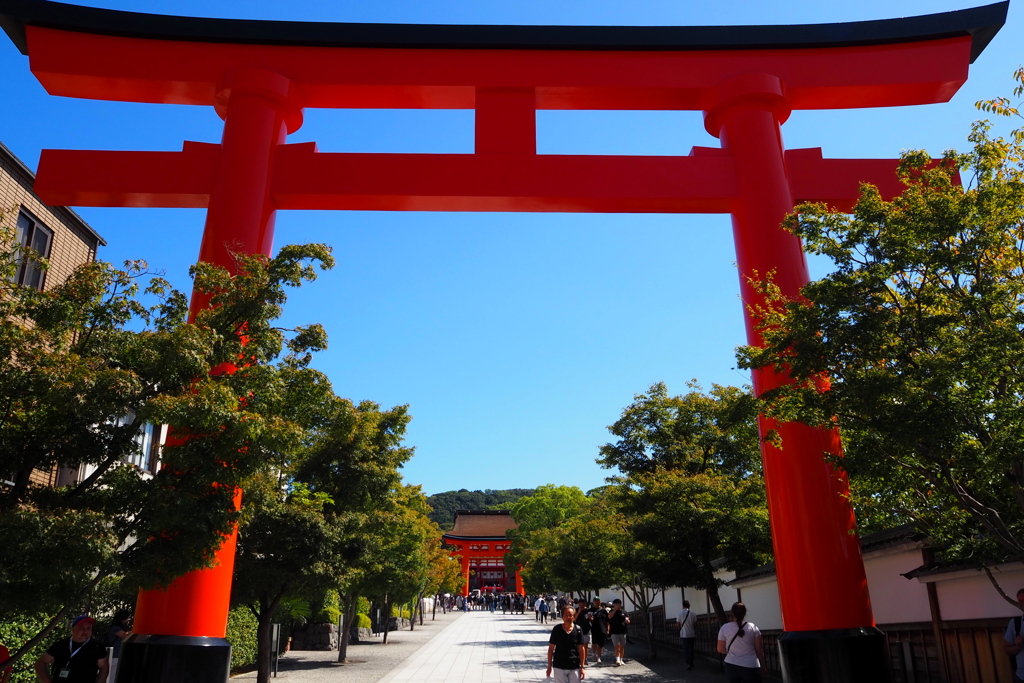 大鳥居 朱と青空の 秋姿