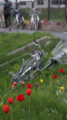 土手道は 自転車通行 禁止です