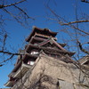 冬晴れに 仰ぎ見るかな 伏見城