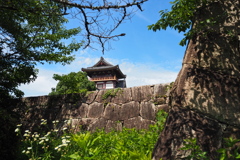 石垣の 奥に二の丸 夏姿