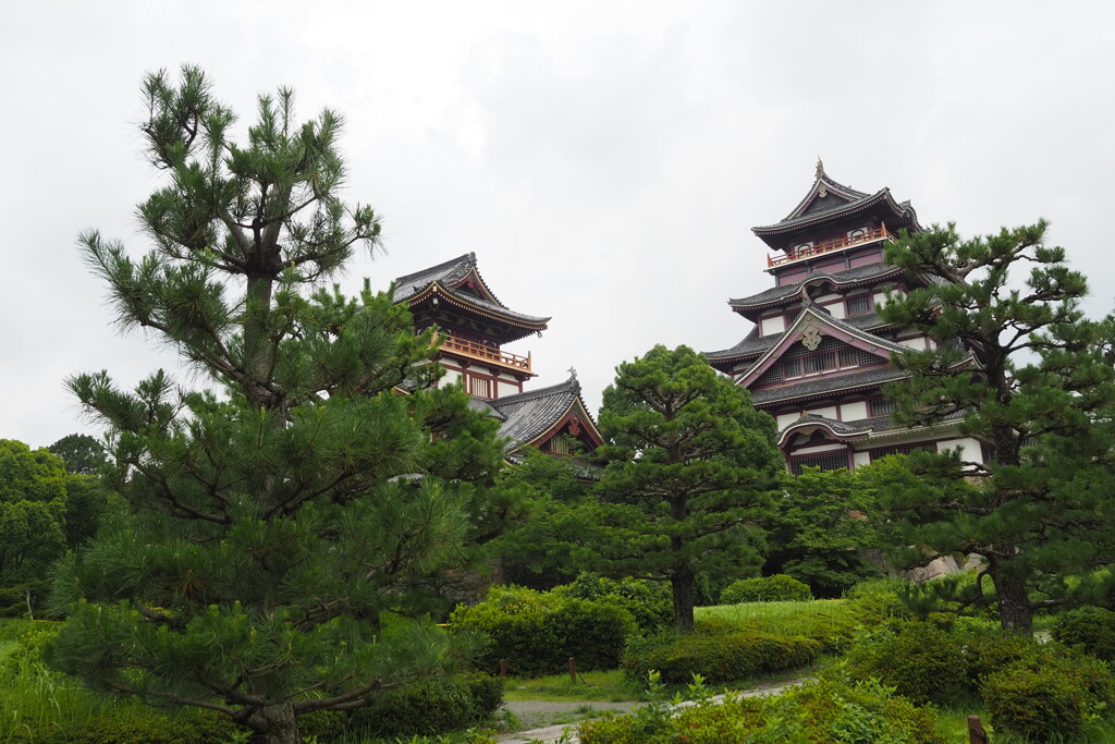 緑濃し 梅雨明け間近 伏見城