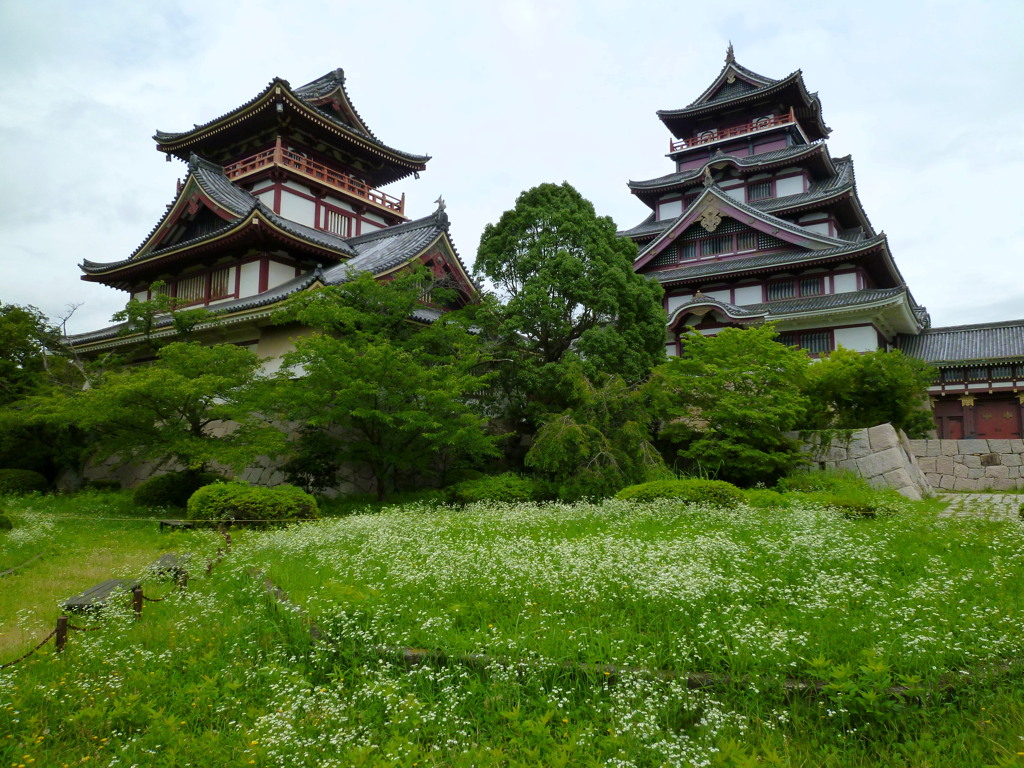 梅雨の候 白の草花 色添へる