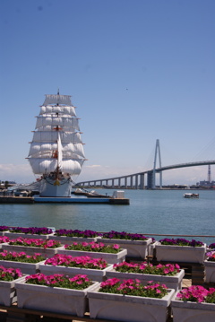 海王丸