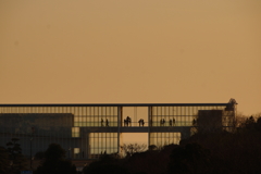 臨海公園