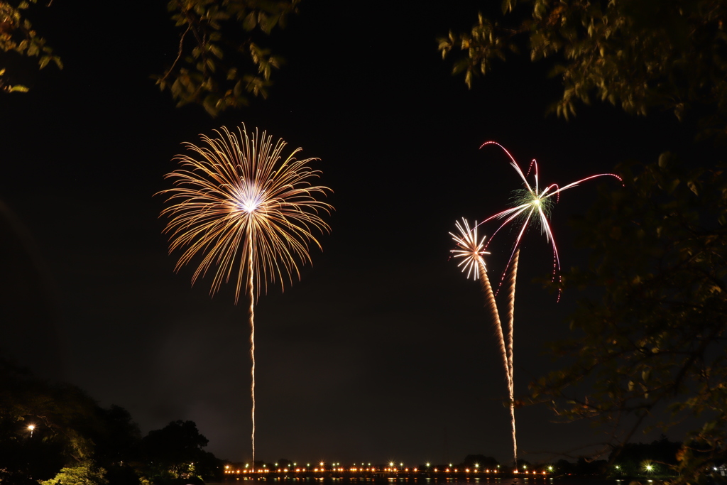 Fireworks W