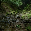 Mystical Power in Mt. Mitake