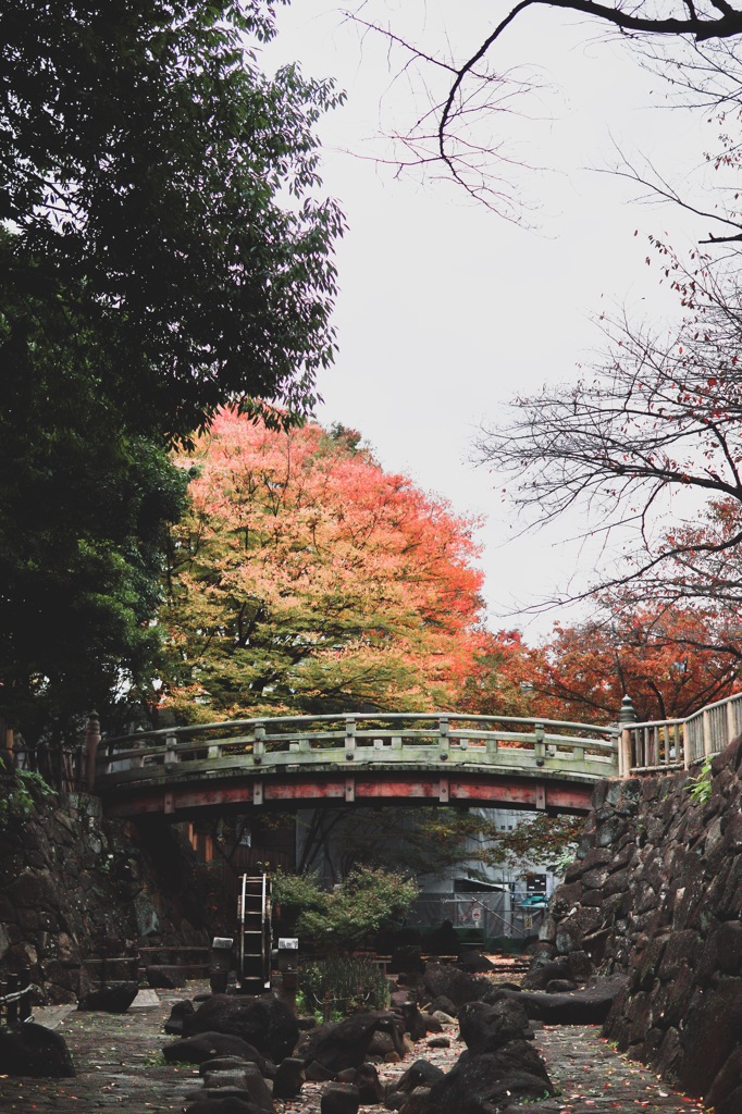 枯水路