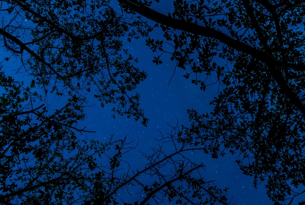 真壁_星_2017.2