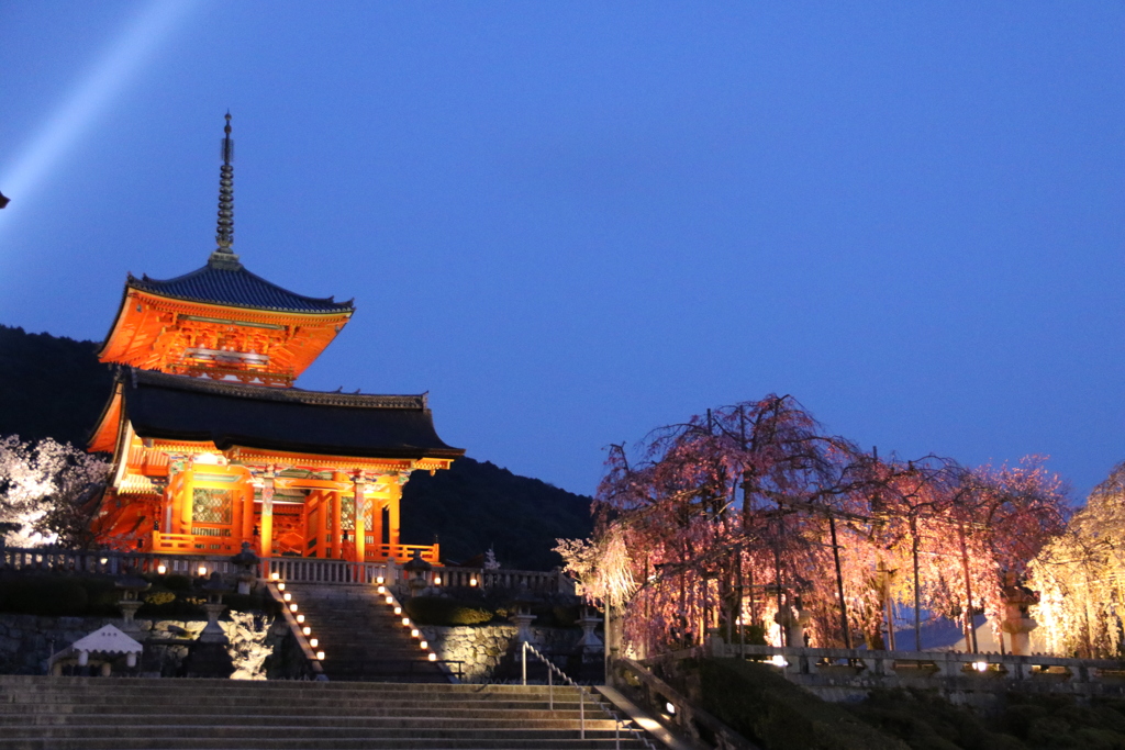清水寺のライトアップ