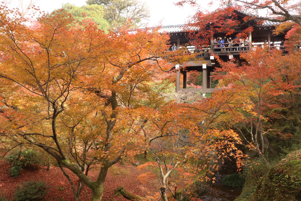 東福寺