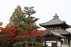 東福寺(1)