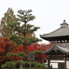 東福寺(1)