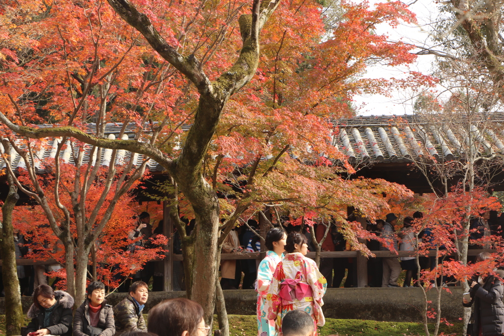 東福寺