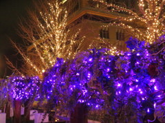 東京ミチテラス