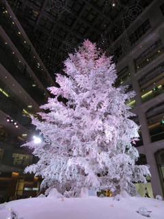 クリスマスツリー
