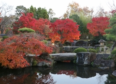 好古園の紅葉