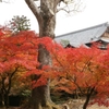 東福寺(1)