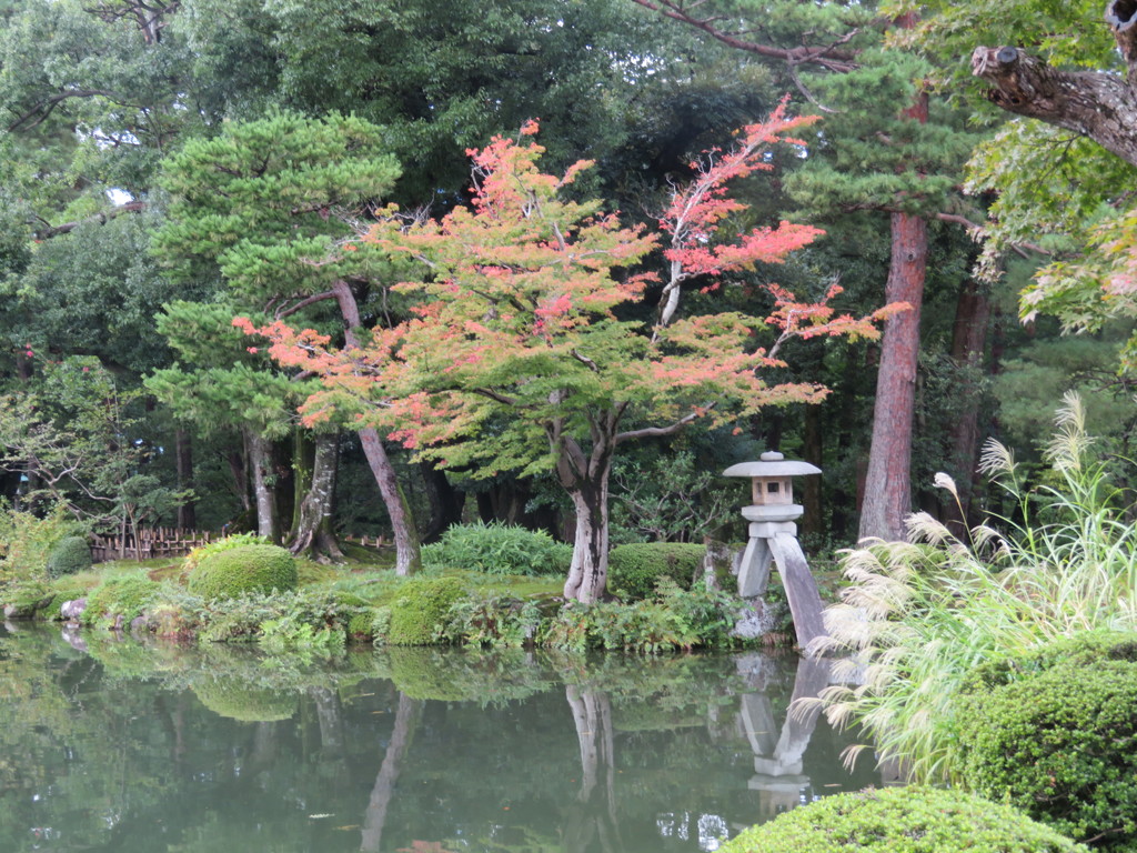 紅葉がはじまりました♪