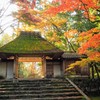 秋景色
