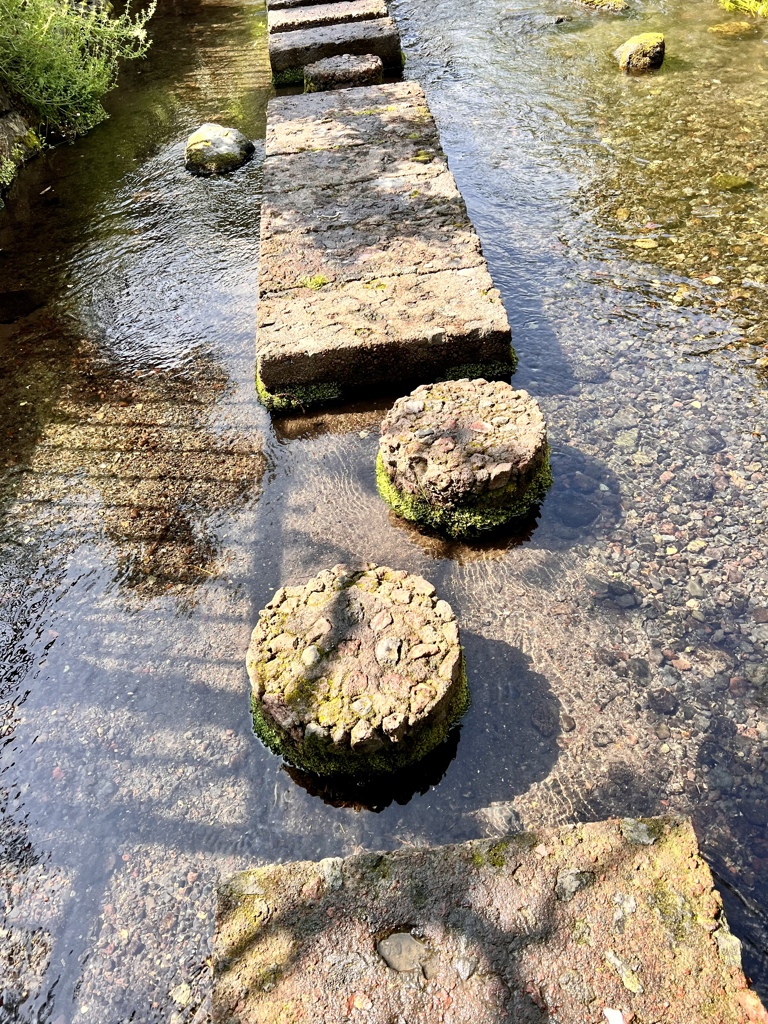 水面の遊歩道