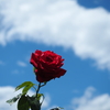 空へ