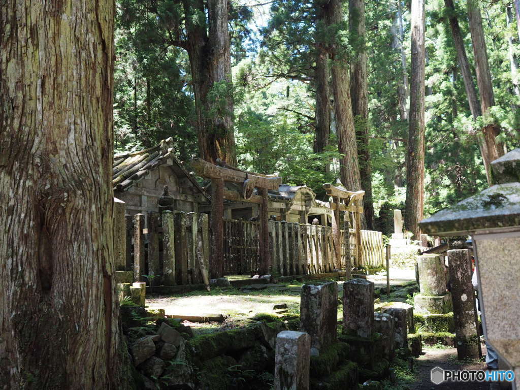 高野山 奥の院