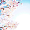 桜空