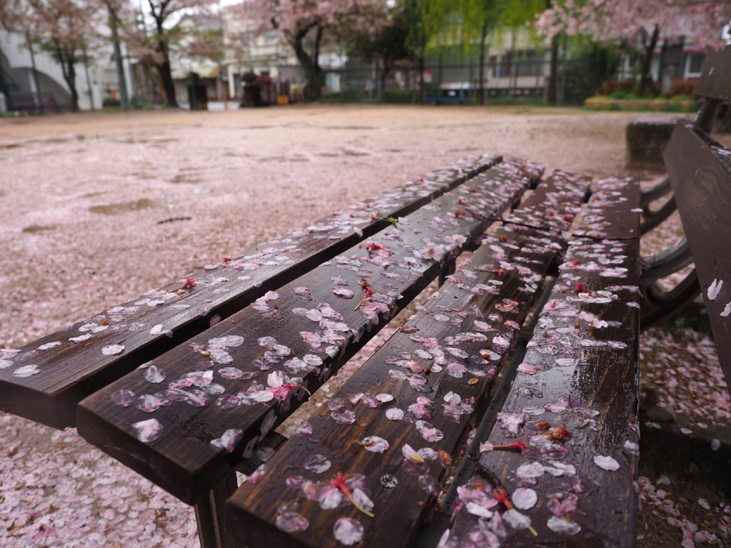 四月の雨