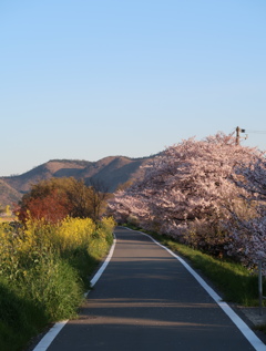 サイクリングロード