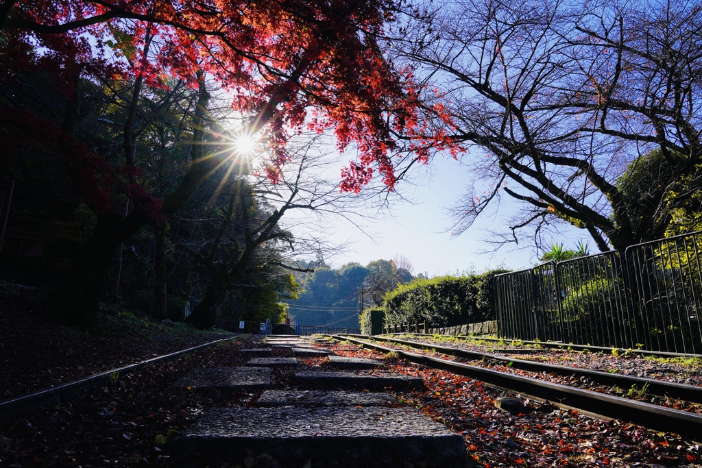 廃線跡