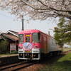 桜のローカル線