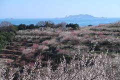 瀬戸内に吹く春風