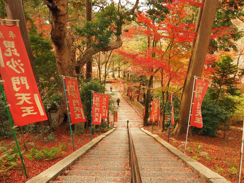 山科の紅葉