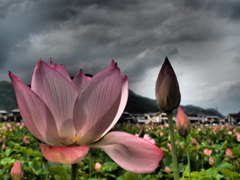 梅雨空