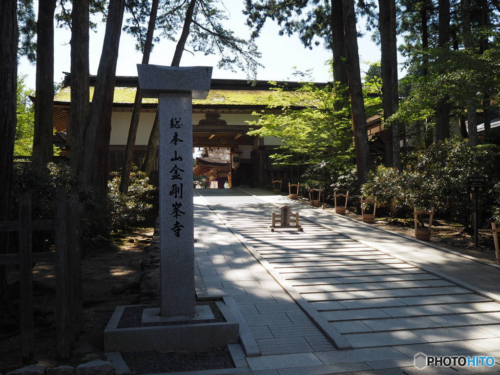 高野山 金剛峯寺