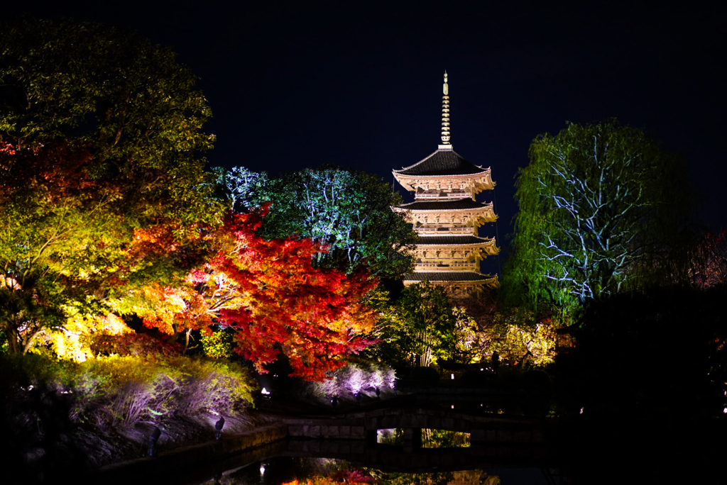 東寺　紅葉ライトアップ