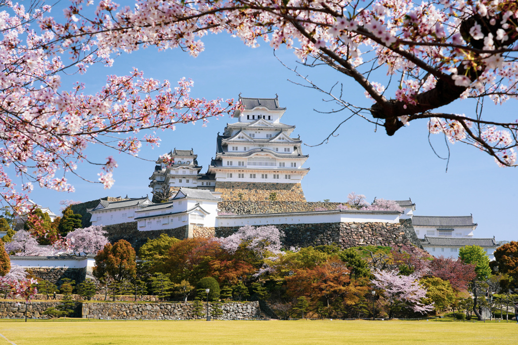 桜の白鷺城
